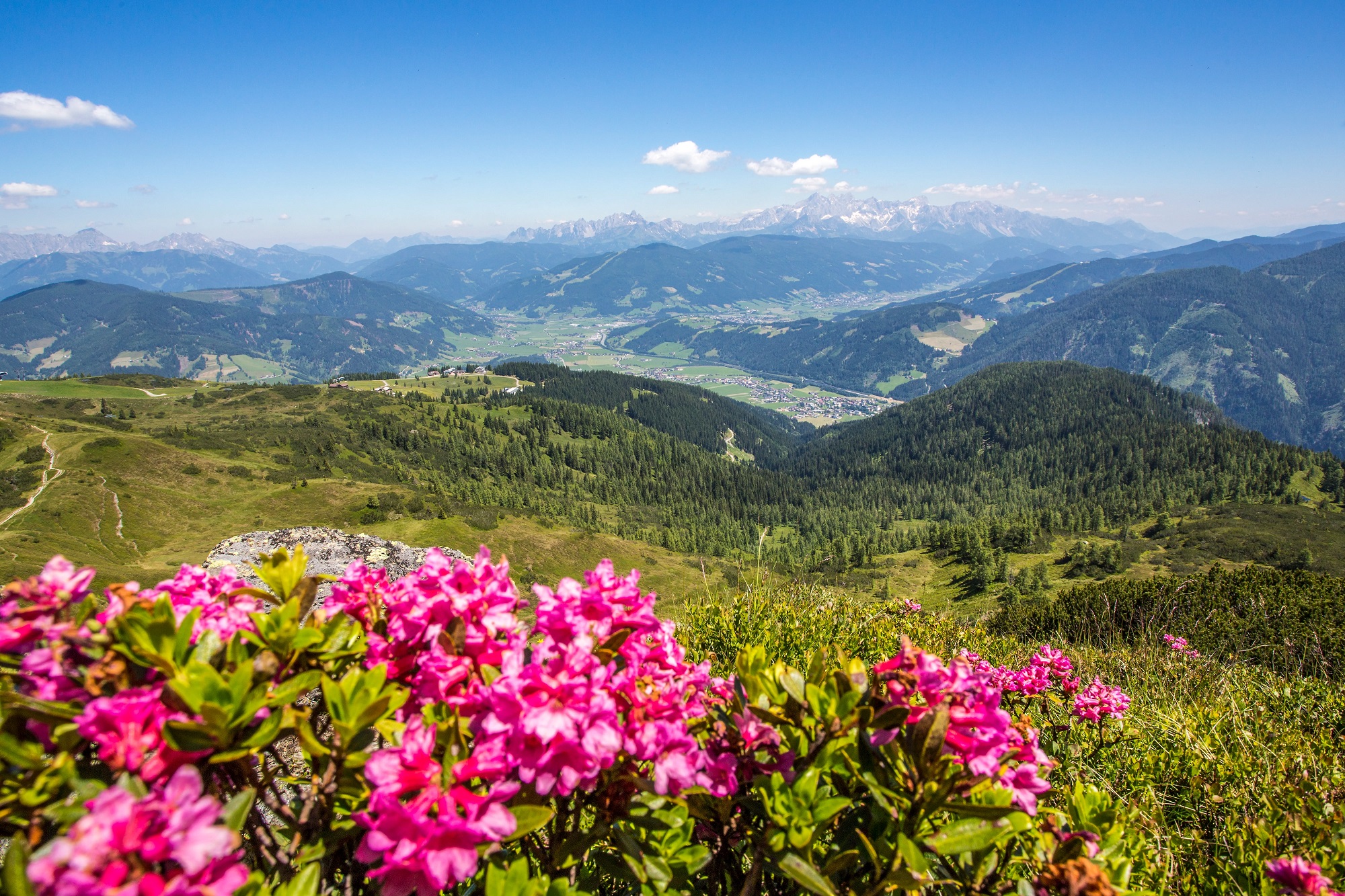 Bergfühling verkleinert Almdorf Flachau and Promi Alm Chalets Flachau
