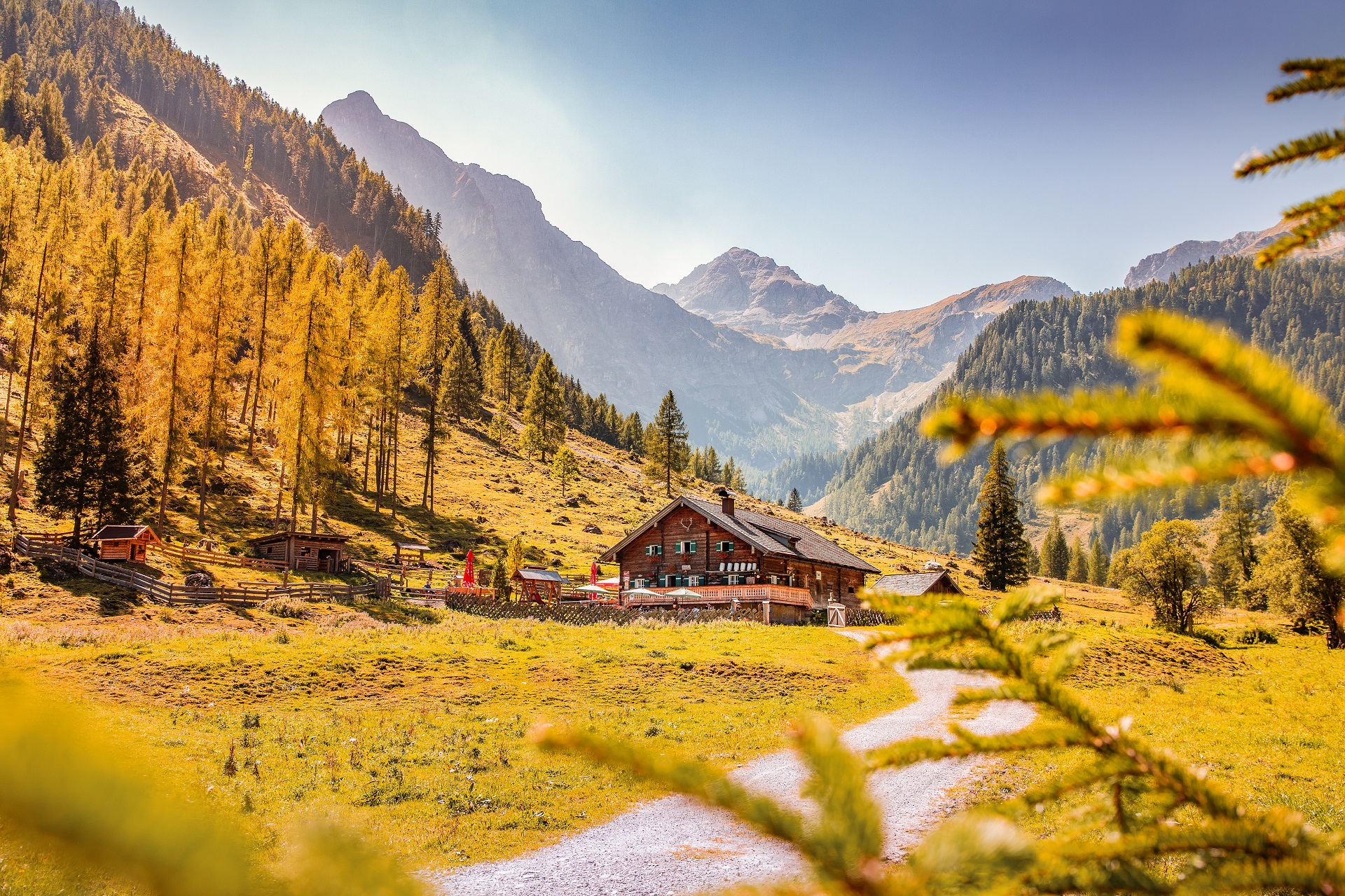 Foto von der Walchauhütte Prechtlalm